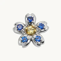 Blue and yellow flower