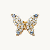Blue Butterfly