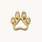 Dog foot