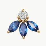 Blue Bloom
